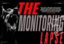 The Monitoring Lapse
